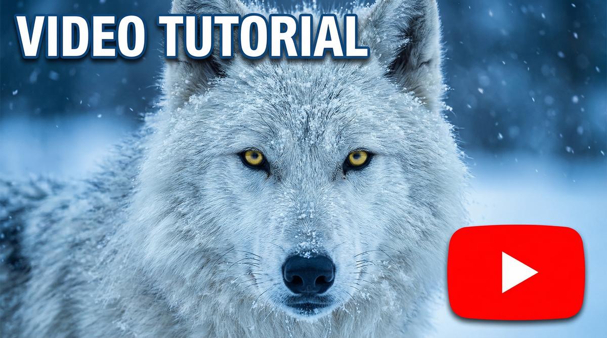 抖阴北极狼追踪视频教程